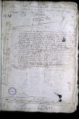 Provisión Real a petición de Juan de Villanueva sobre restitución de unos indios de la encomienda de Ocavita