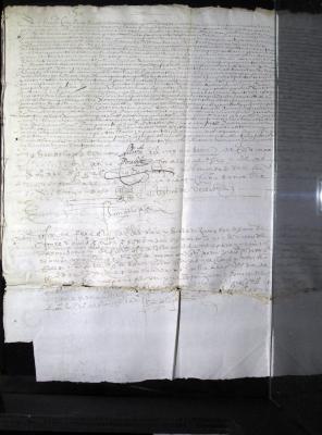 Información pedida por Gregorio Rodríguez en el pleito que sigue contra Antón de Pahua