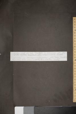 Lorenzo José de los Santos y Manuel de Jesús Copete contra Trinidad Juan Nepomuceno Perea por deslinde y amojonamiento de las tierras de Juan Copete