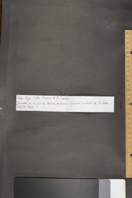 Pablo Rojas contra Francisco de B. Carrasco por demanda en el juicio de deslinde de bienes comunes heredados de su padre Restituto Rojas