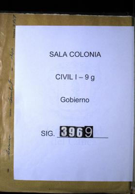 Auto del Gobernador sobre la petición del protector de…